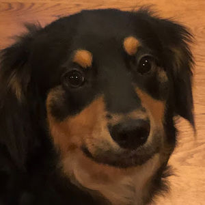 Meet your Posher, Cindy